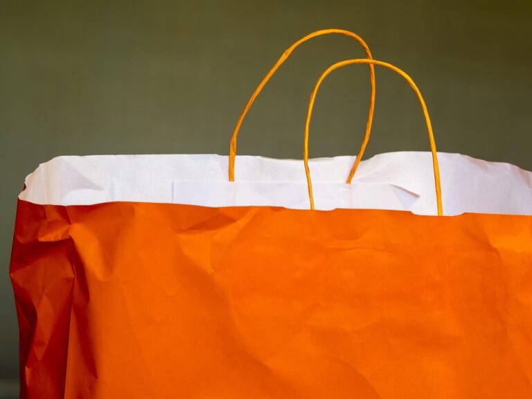 bag 1230527 960 720
